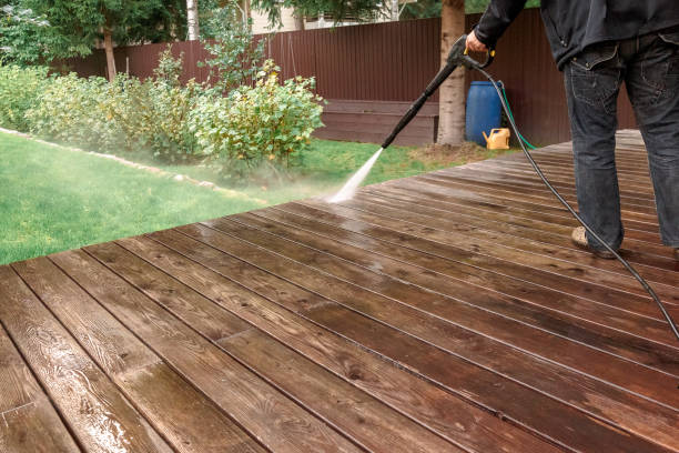 Best Fence Cleaning and Maintenance in Lavonia, GA
